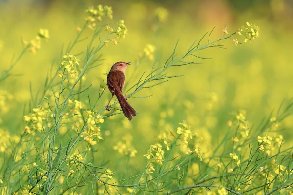 Konsolidasi Pemerintah-DPR: Langkah Penting untuk Reformasi Pendidikan Indonesia