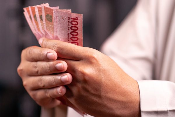 Membangun Keuangan yang Sehat melalui Strategi Investasi Berkelanjutan di Indonesia